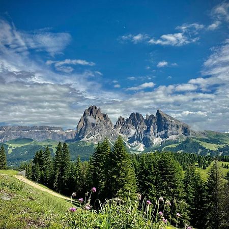 Apartment Cesa Collina Ortisei Luaran gambar